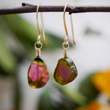 Watermelon Tourmaline Drop Earrings Gold