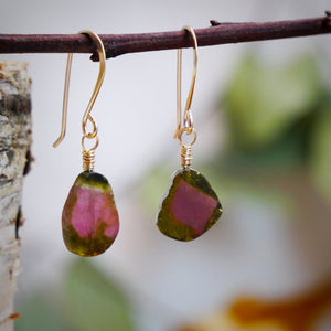 Watermelon Tourmaline Drop Earrings Gold